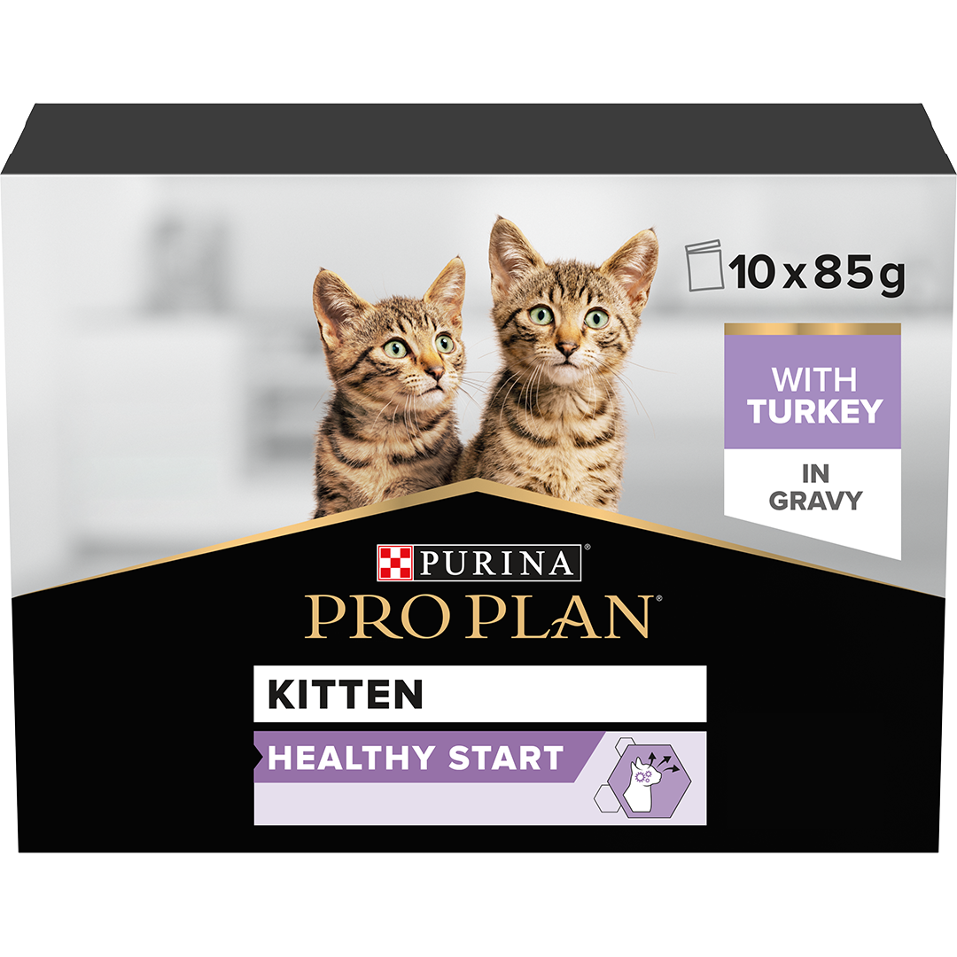 Purina pro online plan soft food