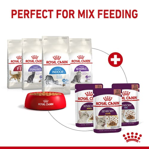 Royal Canin Feline Health Nutrition Sensory Feel in Gravy Wet Food Pouch, 85g