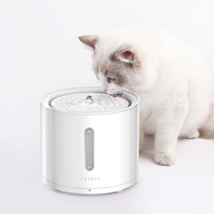 Petkit Eversweet Solo 2 Automatic Water Fountain