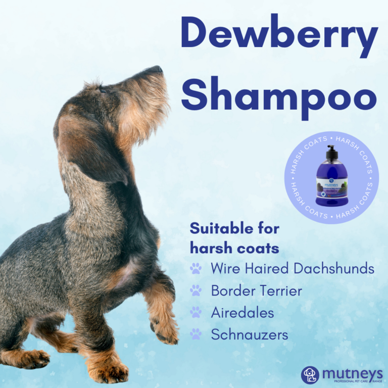 Mutneys Dewberry Shampoo  5Ltr