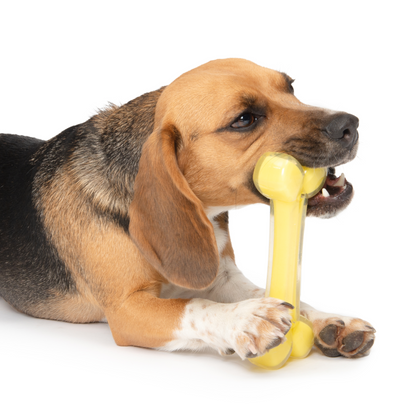 Zeus Duo Bone, 18Cm, Yellow, Coconut Scent