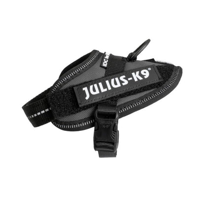 Julius-K9 IDC Powerharness