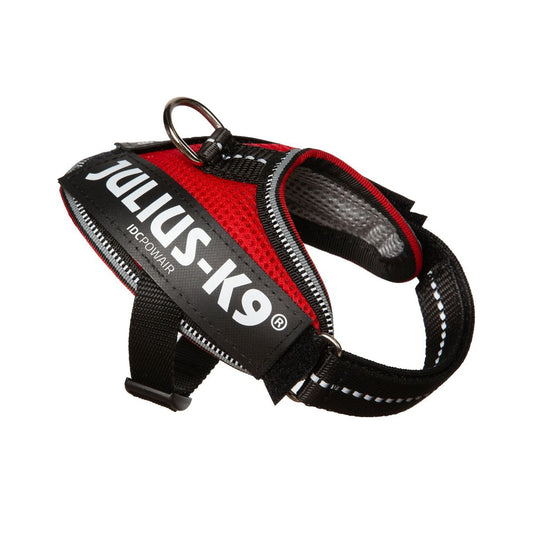 Julius-K9 IDC POWAIR harness