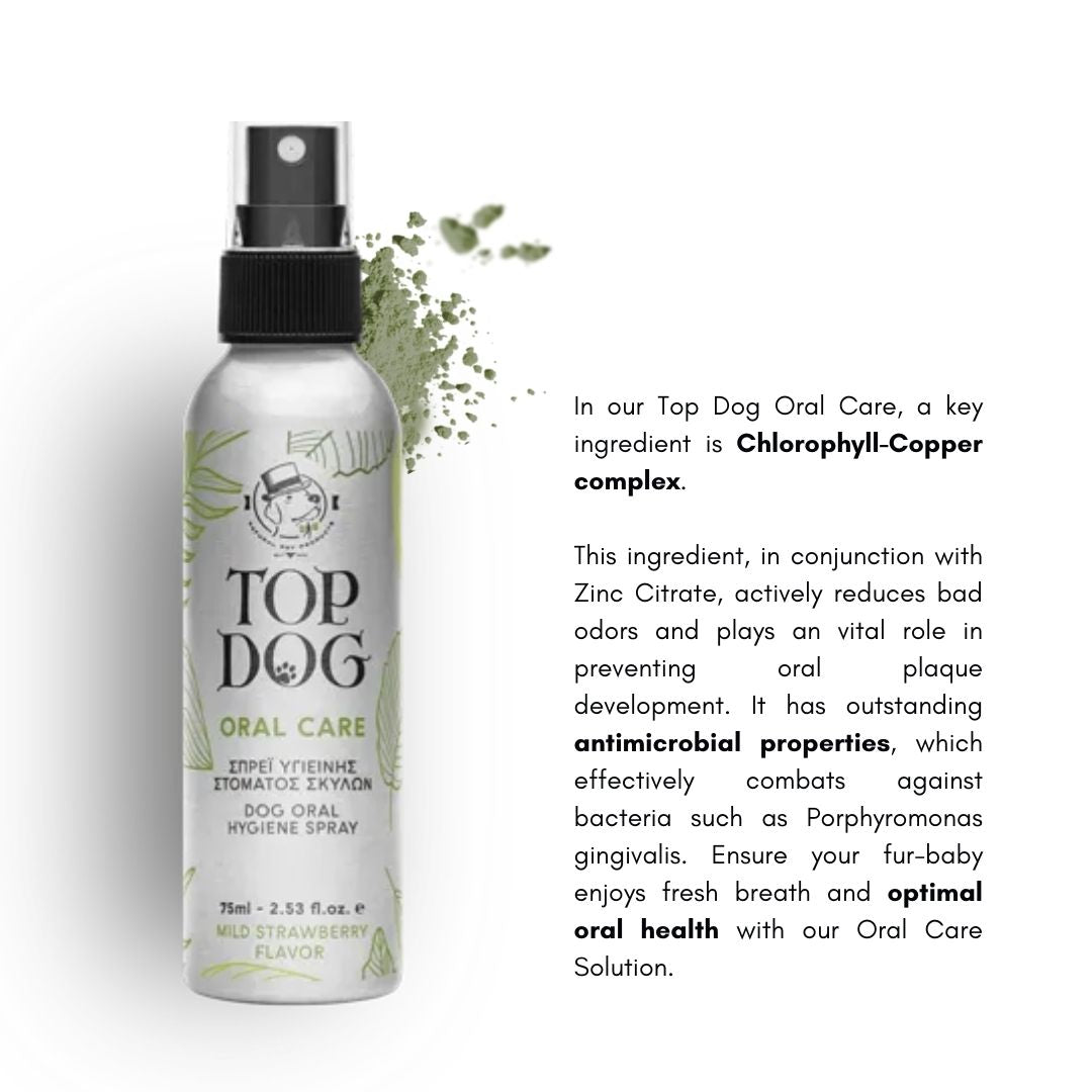 Top Dog Oral Care Hygiene Spray 75ml