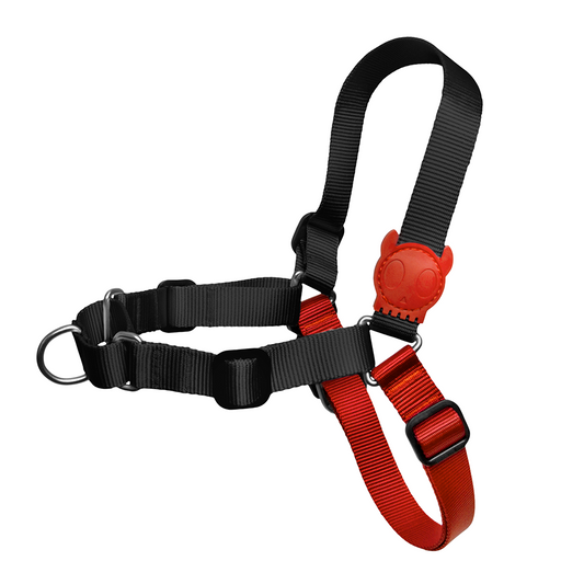 Zee.Dog Fatboy Soft-Walk Harness Large