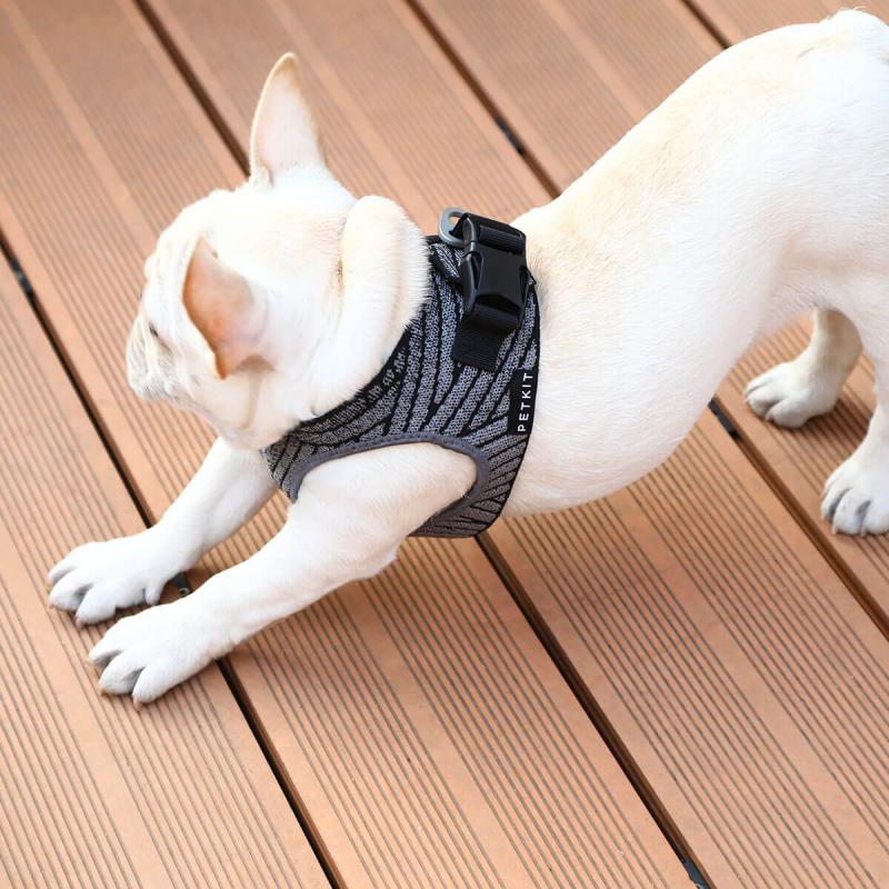 Petkit Air Fly  Harness