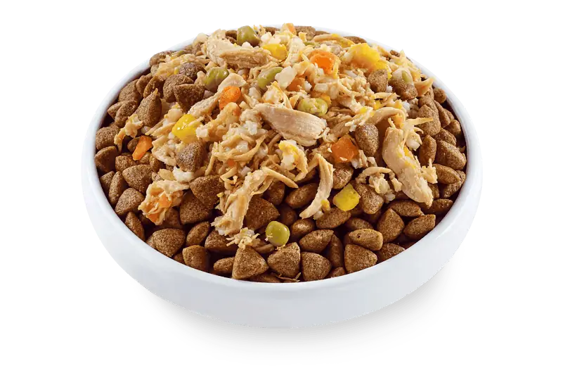 Applaws Taste Topper In Broth Chicken with Vegetables for Dogs, 156G