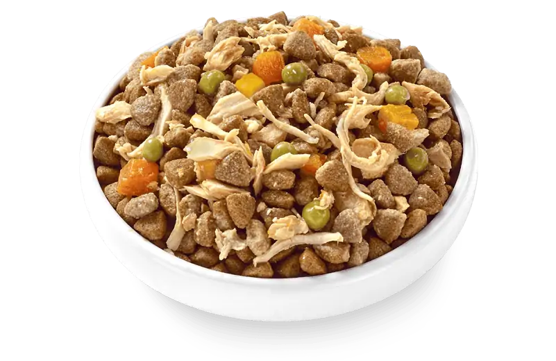 Applaws Taste Topper In Broth Chicken with Salmon for Dogs, 156G