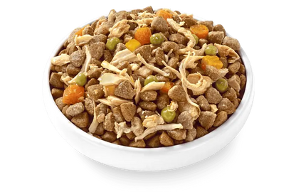 Applaws Taste Topper In Broth Chicken with Salmon for Dogs, 156G