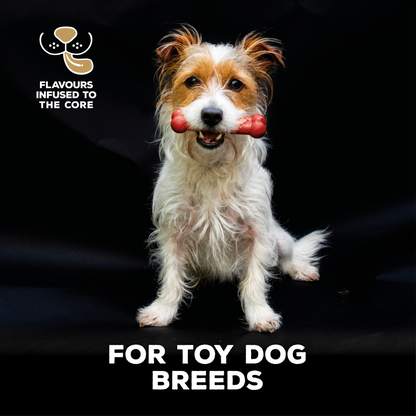 TastyBone Nylon Toy Dog