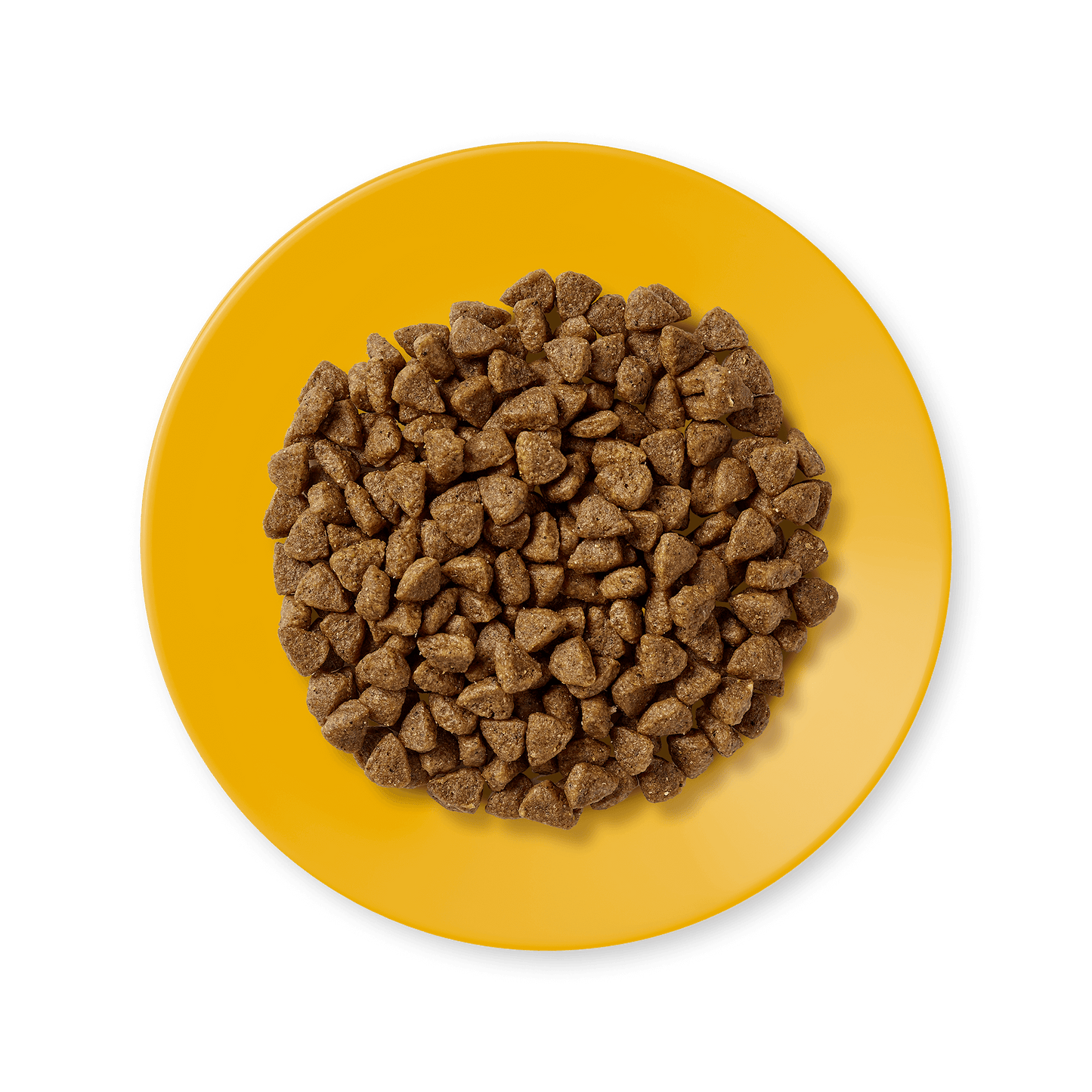 Applaws Complete Natural and Grain Free Dry Kitten Cat Food with Chicken