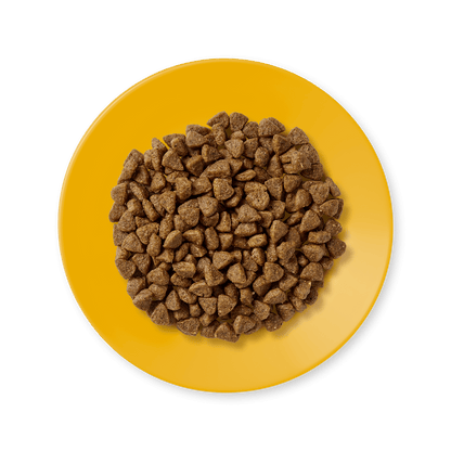 Applaws Complete Natural and Grain Free Dry Kitten Cat Food with Chicken