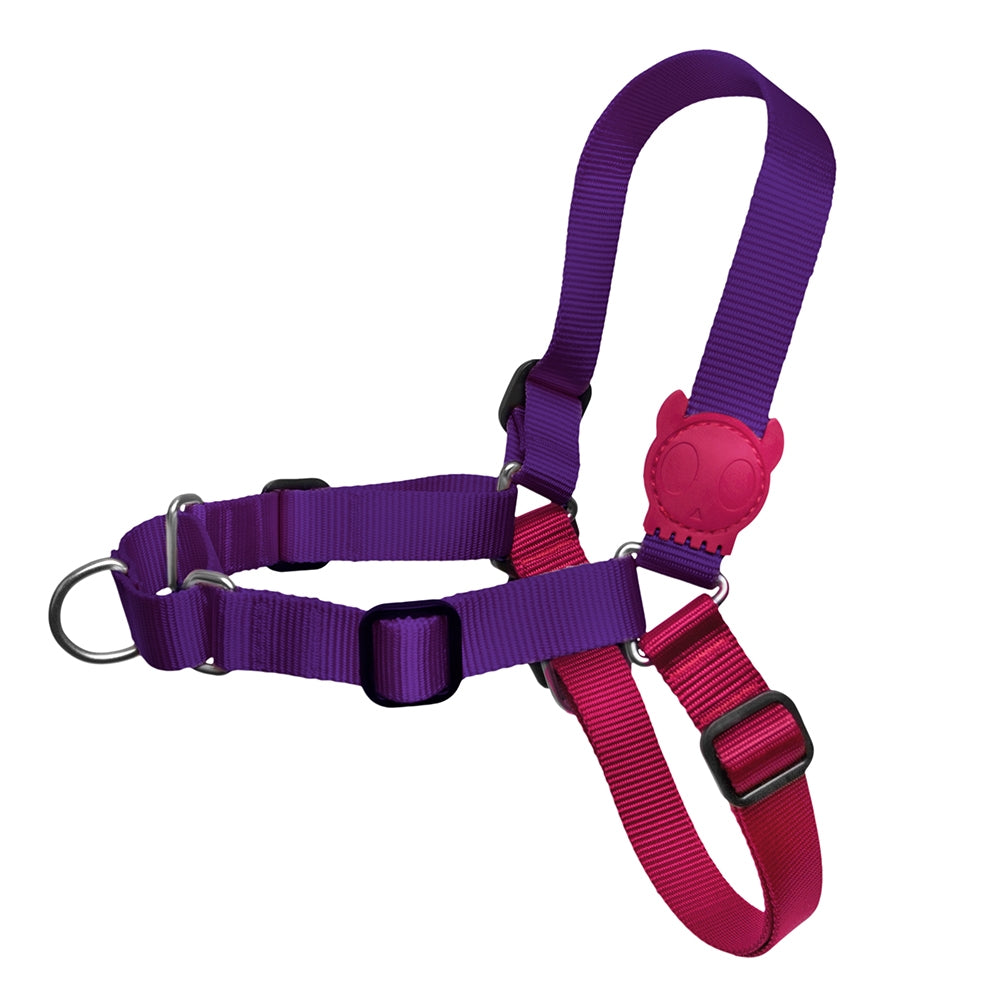 Zee.Dog Vega Soft-Walk Harness Small