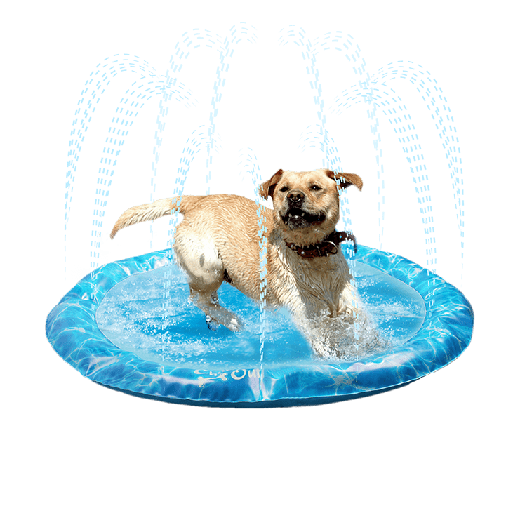 All For Paws  Chill Out Sprinkler Fun Mat