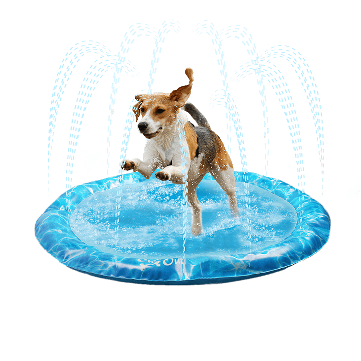 All For Paws  Chill Out Sprinkler Fun Mat