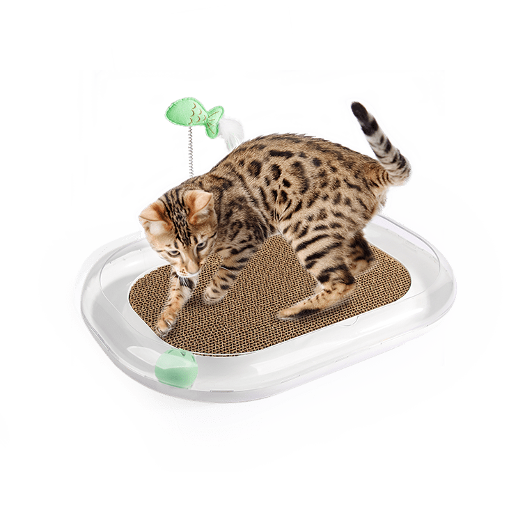 All For Paws  Cat Runway Scratcher