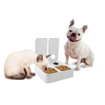 All For Paws  Double Timer Feeder