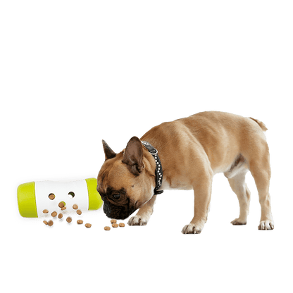 All For Paws  Interactive Dog Treat Frenzy Roll