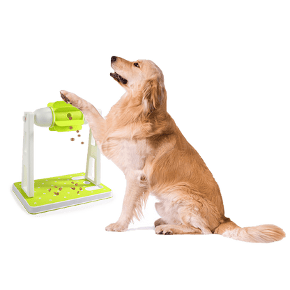 All For Paws  Interactive Dog Treat Turbine