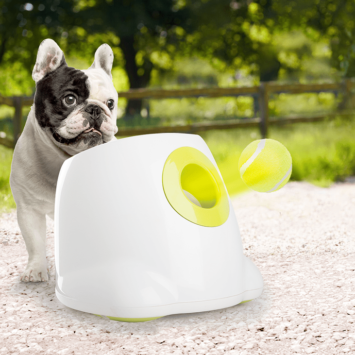 All for paws hyper fetch mini hot sale