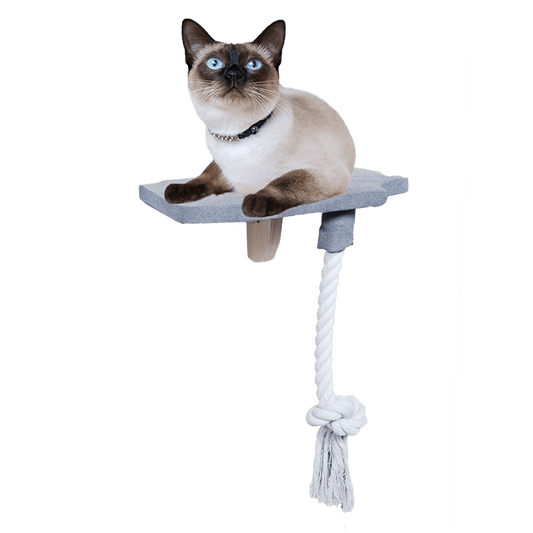All For Paws  Skywalk StepIn Platform With Rope