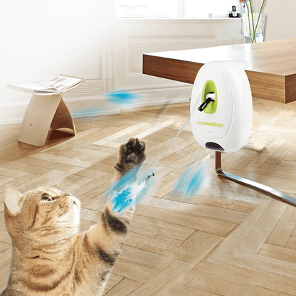 All For Paws  Interactive Cat Jumping Wand