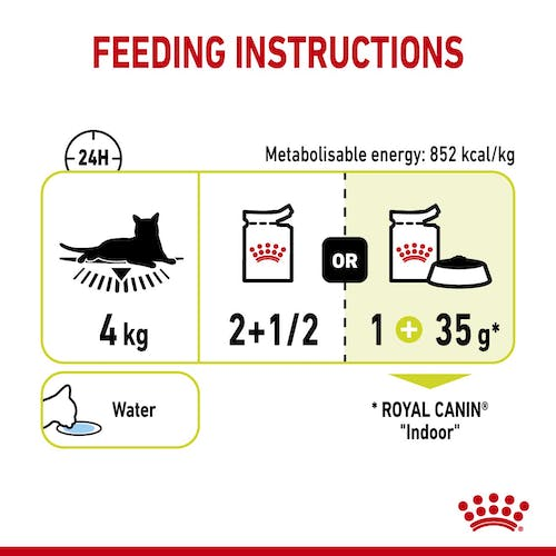 Royal Canin Feline Health Nutrition Sensory Smell in Gravy Wet Food Pouch, 85g