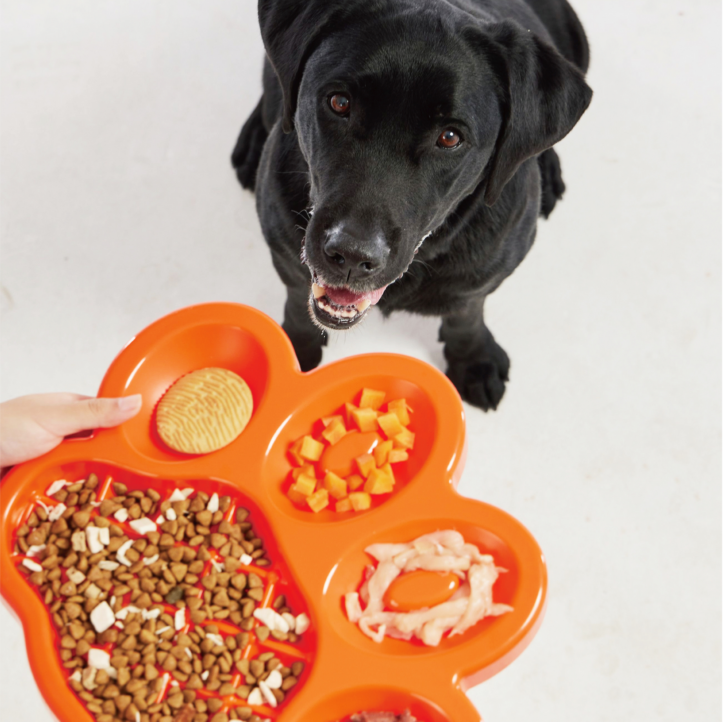 PetDreamHouse Paw Slow Feeder