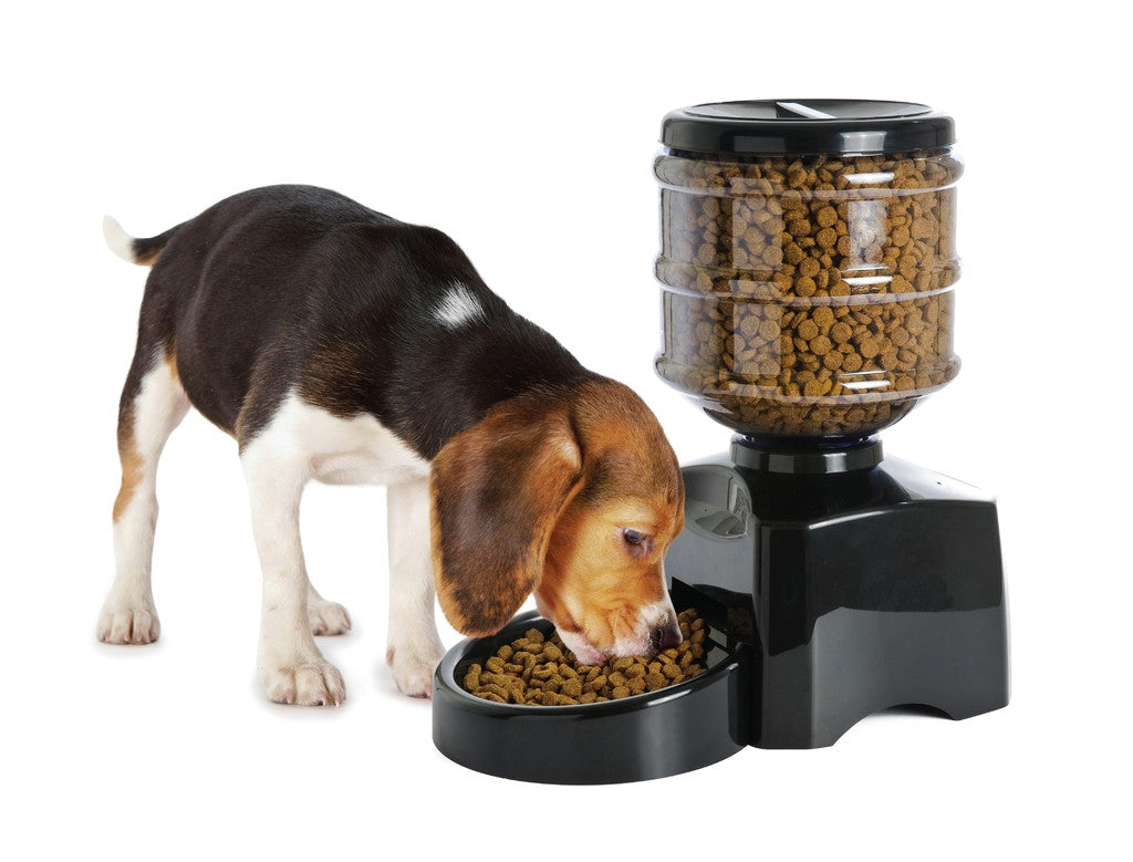 Camon Automatic Dog and Cat Food Dispenser “Big Self Food”