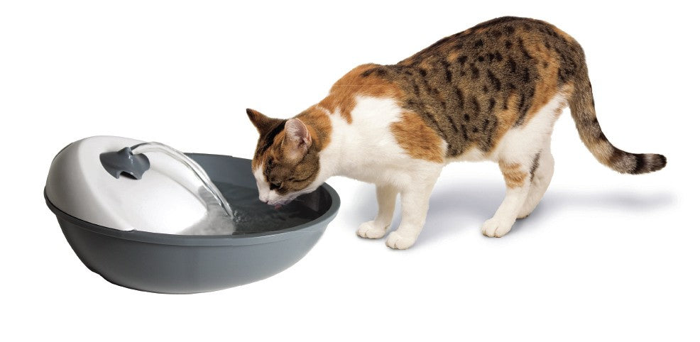 Camon Automatic Pet Drinking Fountain