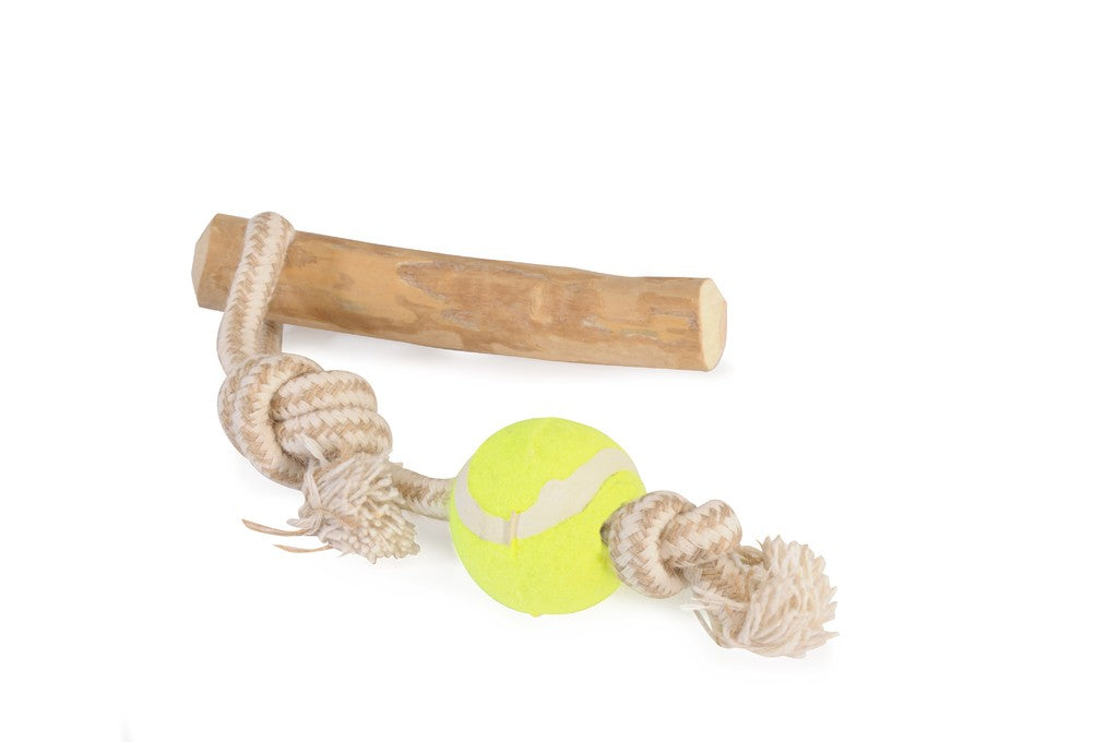 Camon Coffee Wood and Rope Toy For Dogs with Ball