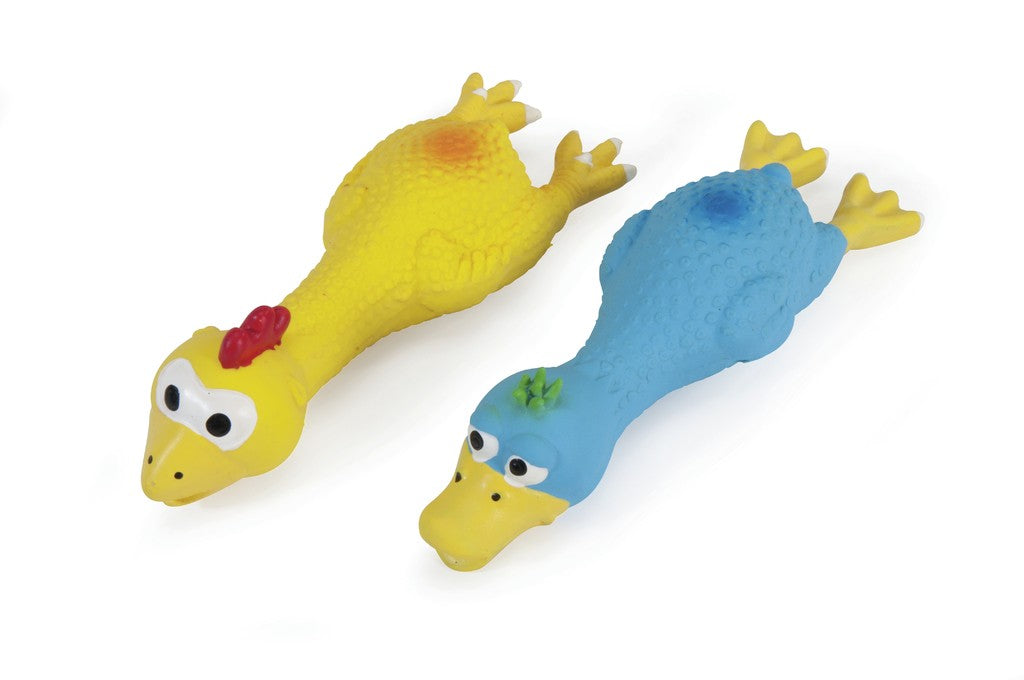 Camon Latex Chicken and Duck with Squeaker