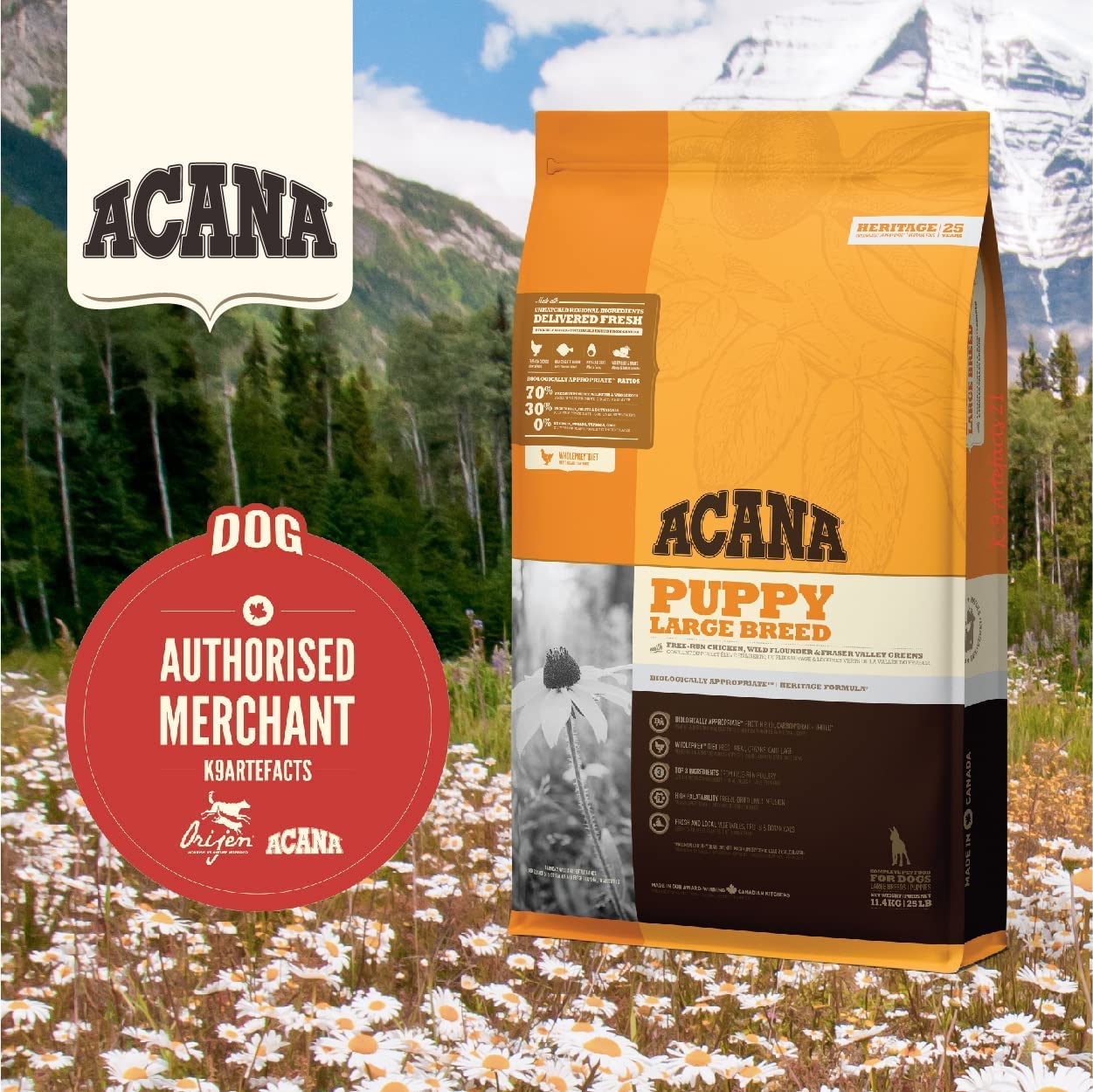 Acana Dog Food for Puppy Large Breed