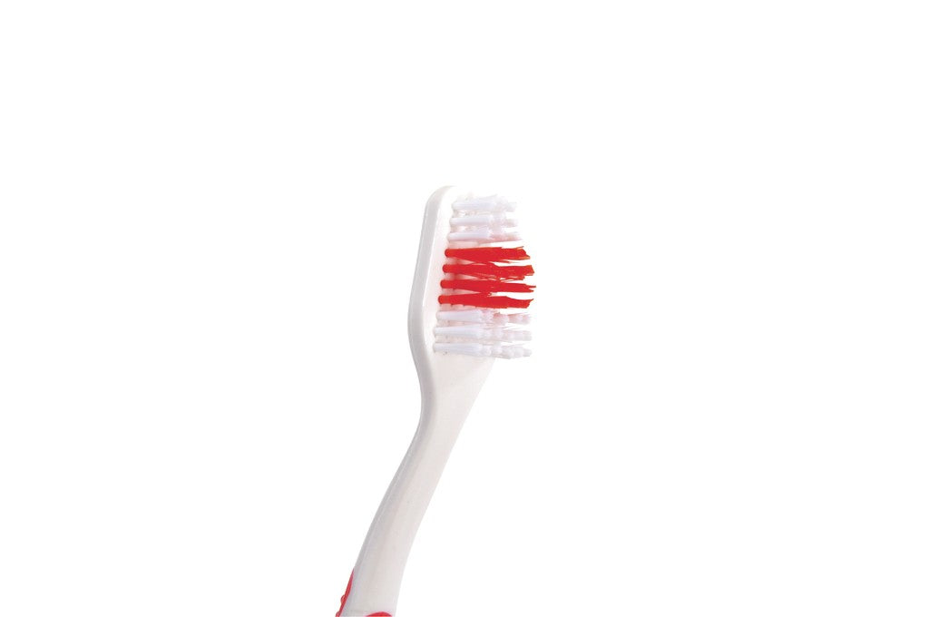 Camon Double Head Toothbrush For Dogs