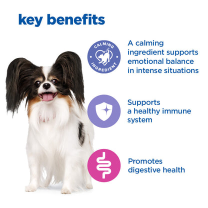 Hill’s Vet Essentials Multi-Benefit + Calm Small and Mini Adult Dry Dog Food with Chicken