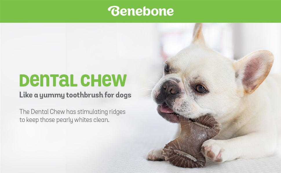 Benebone Dental Chew Bacon