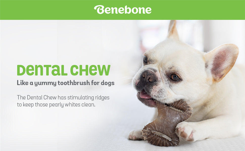 Benebone Dental Chew Peanut