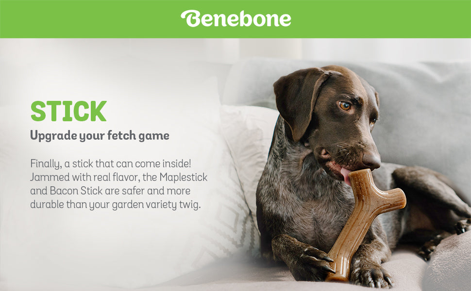 Benebone Bacon Stick