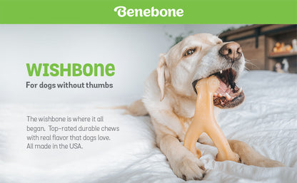 Benebone Wishbone Peanut