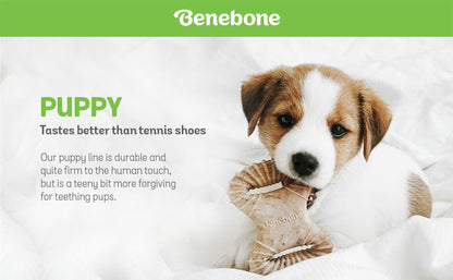 Benebone Puppy 2-Pack Dental Chew/Wishbone Bacon