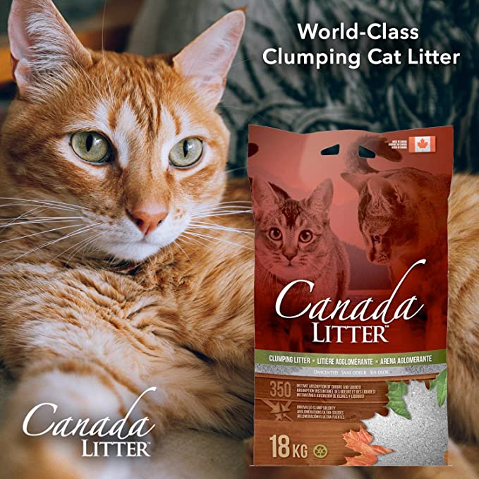 Canada Litter - Unscented