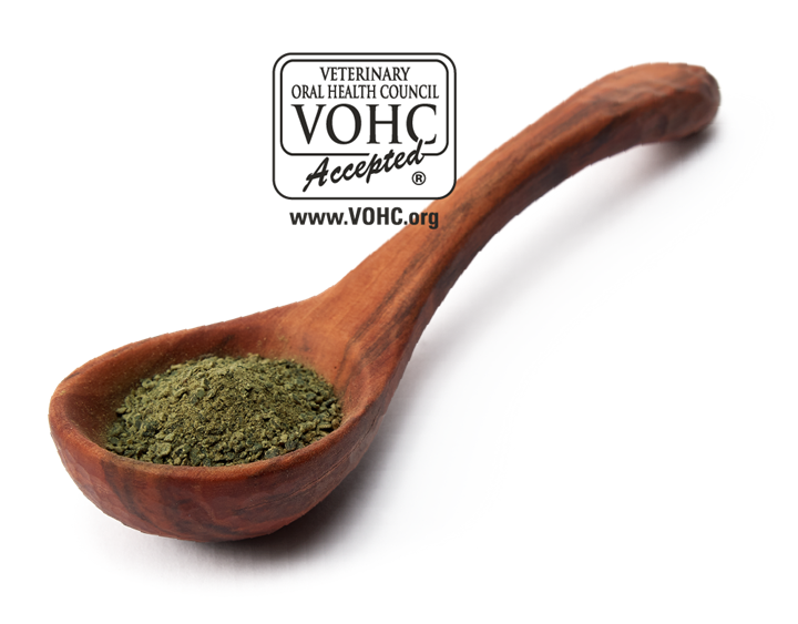 Canagan 2024 dental turkey