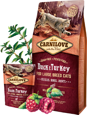 Carnilove Duck & Turkey for Large Breed Adult Cats