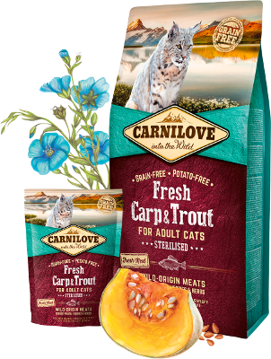 Carnilove Fresh Carp & Trout for Adult Cats