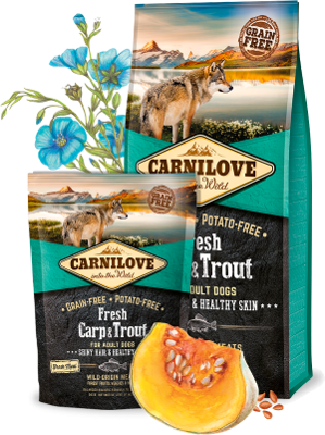 Carnilove Fresh Carp & Trout for Adult Dogs