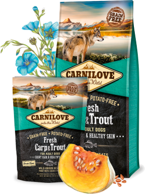 Carnilove Fresh Carp Trout for Adult Dogs – Meow Howl