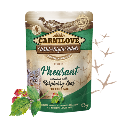 Carnilove Pheasant enriched with Raspberry Leaves for Adult Cats Wet Food, Pouch 85g