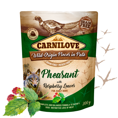 Carnilove Pheasant with Raspberry Leaves for Adult Dogs Wet Food, Pouch 300g