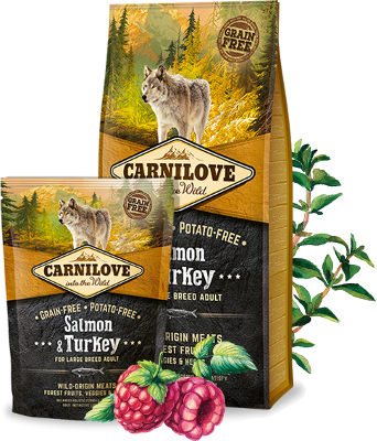 Carnilove Salmon & Turkey for Large Breed Adult Dogs