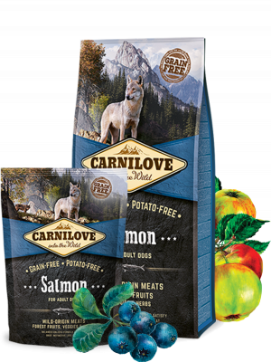 Carnilove Salmon for Adult Dogs